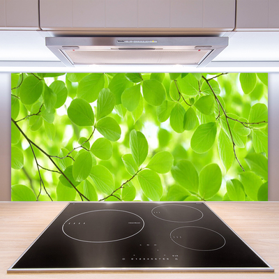Küchenrückwand Spritzschutz Blätter Natur