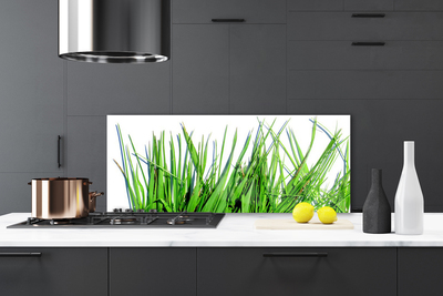 Küchenrückwand Spritzschutz Gras Pflanzen