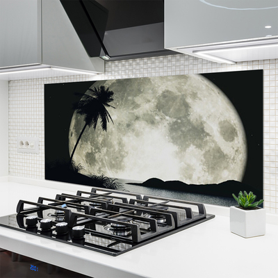 Küchenrückwand Spritzschutz Nacht Mond Palme Landschaft