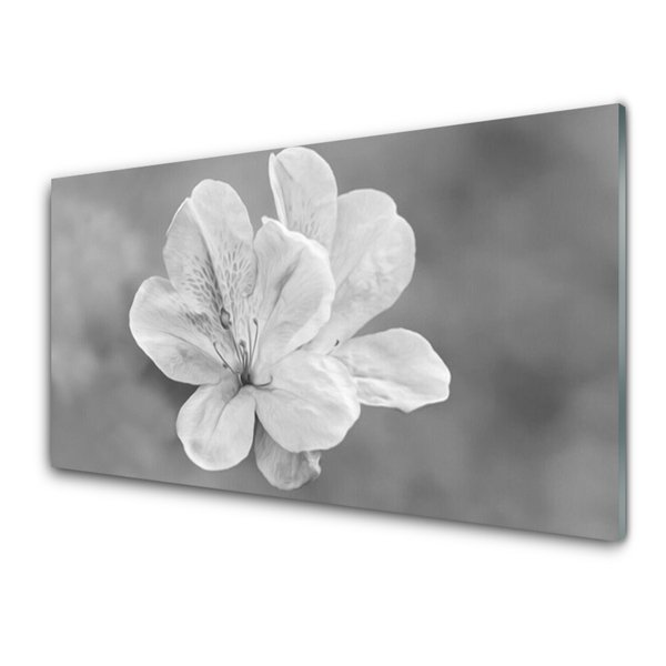 Küchenrückwand Spritzschutz Blumen Pflanzen