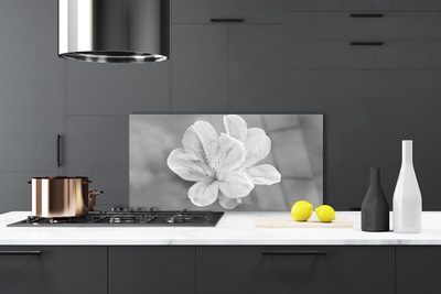 Küchenrückwand Spritzschutz Blumen Pflanzen