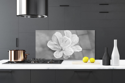 Küchenrückwand Spritzschutz Blumen Pflanzen