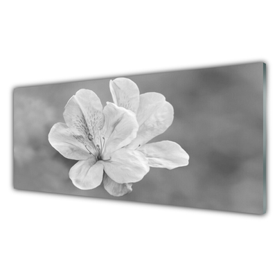 Küchenrückwand Spritzschutz Blumen Pflanzen