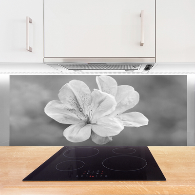 Küchenrückwand Spritzschutz Blumen Pflanzen