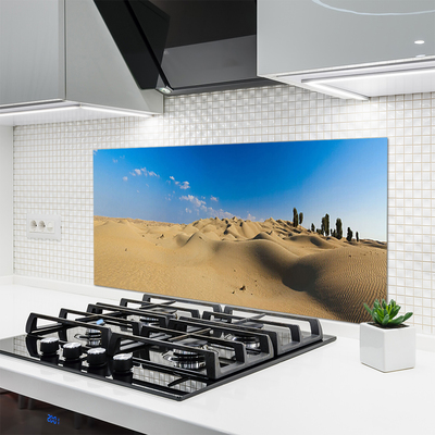 Küchenrückwand Spritzschutz Wüste Landschaft