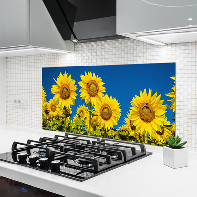 Küchenrückwand Spritzschutz Sonnenblumen Pflanzen