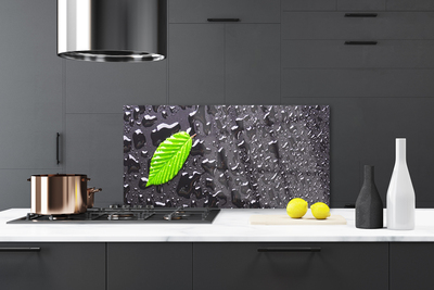 Küchenrückwand Spritzschutz Blatt Kunst