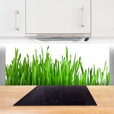Küchenrückwand Spritzschutz Gras Pflanzen
