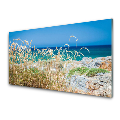 Küchenrückwand Spritzschutz Strand Landschaft