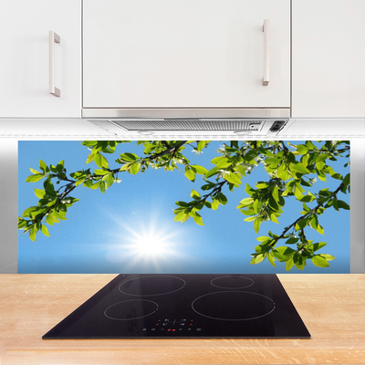 Küchenrückwand Spritzschutz Sonne Natur