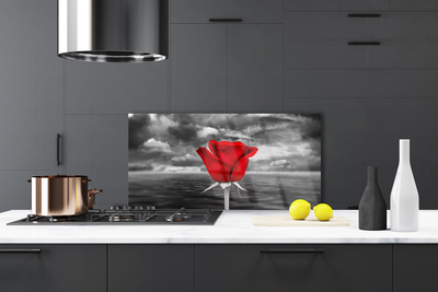 Küchenrückwand Spritzschutz Rose Pflanzen