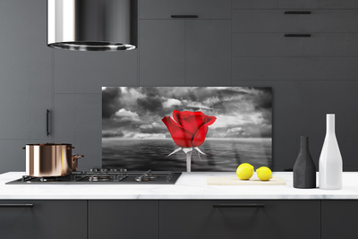 Küchenrückwand Spritzschutz Rose Pflanzen