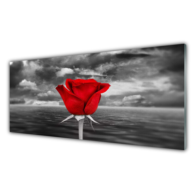 Küchenrückwand Spritzschutz Rose Pflanzen