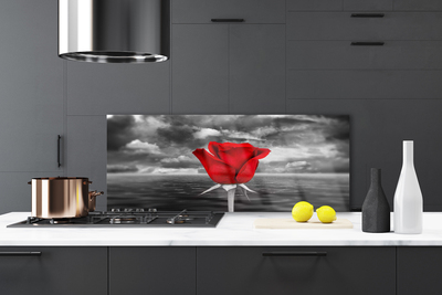 Küchenrückwand Spritzschutz Rose Pflanzen