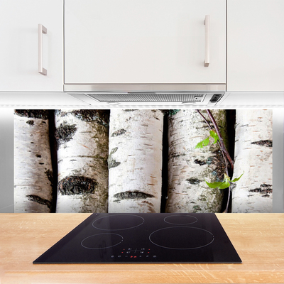 Küchenrückwand Spritzschutz Bäume Natur