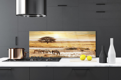 Küchenrückwand Spritzschutz Wüste Landschaft