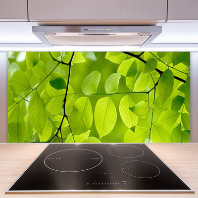 Küchenrückwand Spritzschutz Blätter Natur