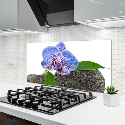 Küchenrückwand Spritzschutz Blume Pflanzen
