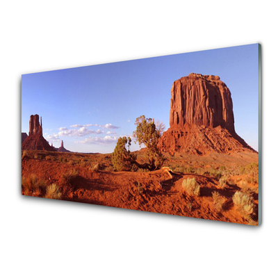 Küchenrückwand Spritzschutz Wüste Landschaft
