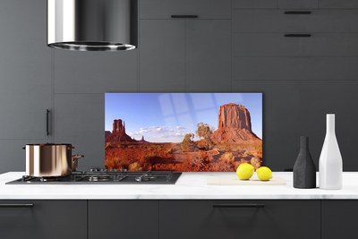 Küchenrückwand Spritzschutz Wüste Landschaft