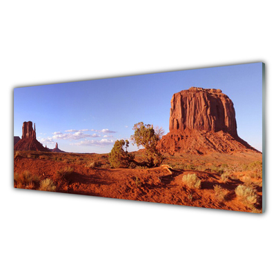 Küchenrückwand Spritzschutz Wüste Landschaft