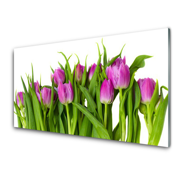 Küchenrückwand Spritzschutz Tulpen Pflanzen