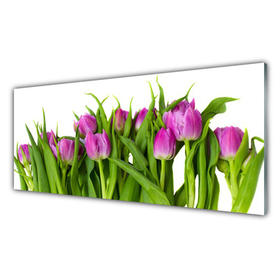 Küchenrückwand Spritzschutz Tulpen Pflanzen