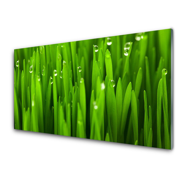 Küchenrückwand Spritzschutz Gras Natur