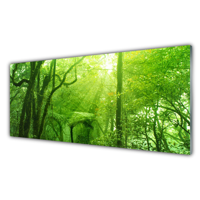 Küchenrückwand Spritzschutz Bäume Natur