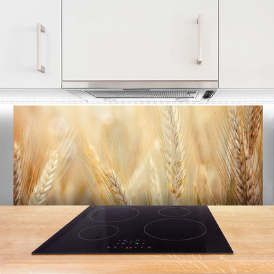 Küchenrückwand Fliesenspiegel Weizen Pflanzen