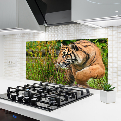 Küchenrückwand Fliesenspiegel Tiger Tiere