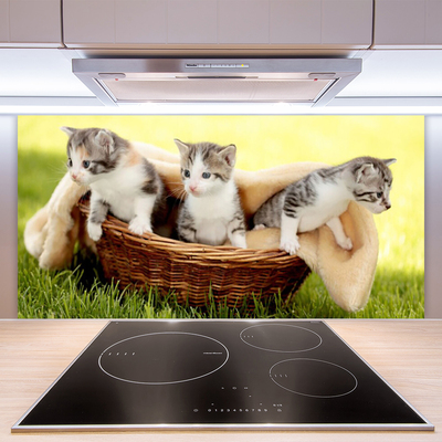 Küchenrückwand Fliesenspiegel Katzen Tiere