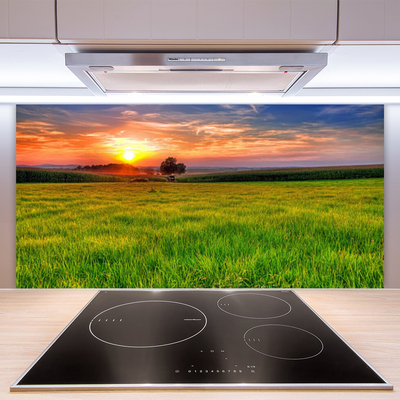 Küchenrückwand Fliesenspiegel Wiese Sonne Natur