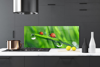 Küchenrückwand Fliesenspiegel Marienkäfer Blatt Pflanzen