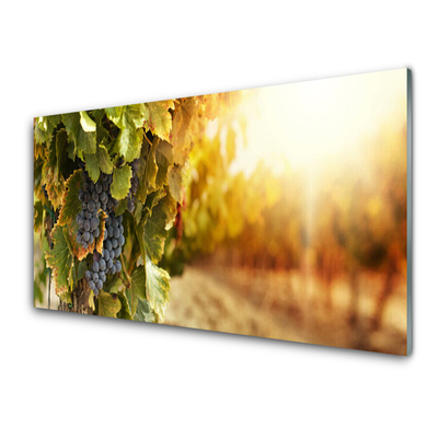 Küchenrückwand Fliesenspiegel Weintrauben Natur