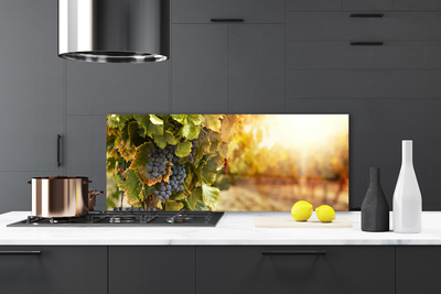 Küchenrückwand Fliesenspiegel Weintrauben Natur