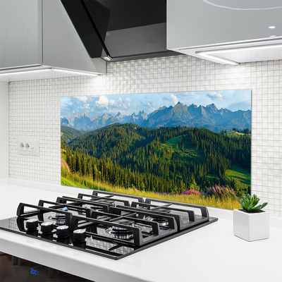 Küchenrückwand Fliesenspiegel Gebirge Wald Natur