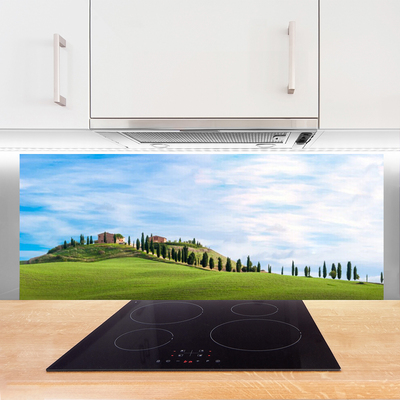Küchenrückwand Fliesenspiegel Wiese Bäume Landschaft