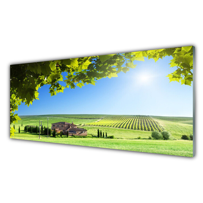 Küchenrückwand Fliesenspiegel Ackerfeld Blätter Landschaft