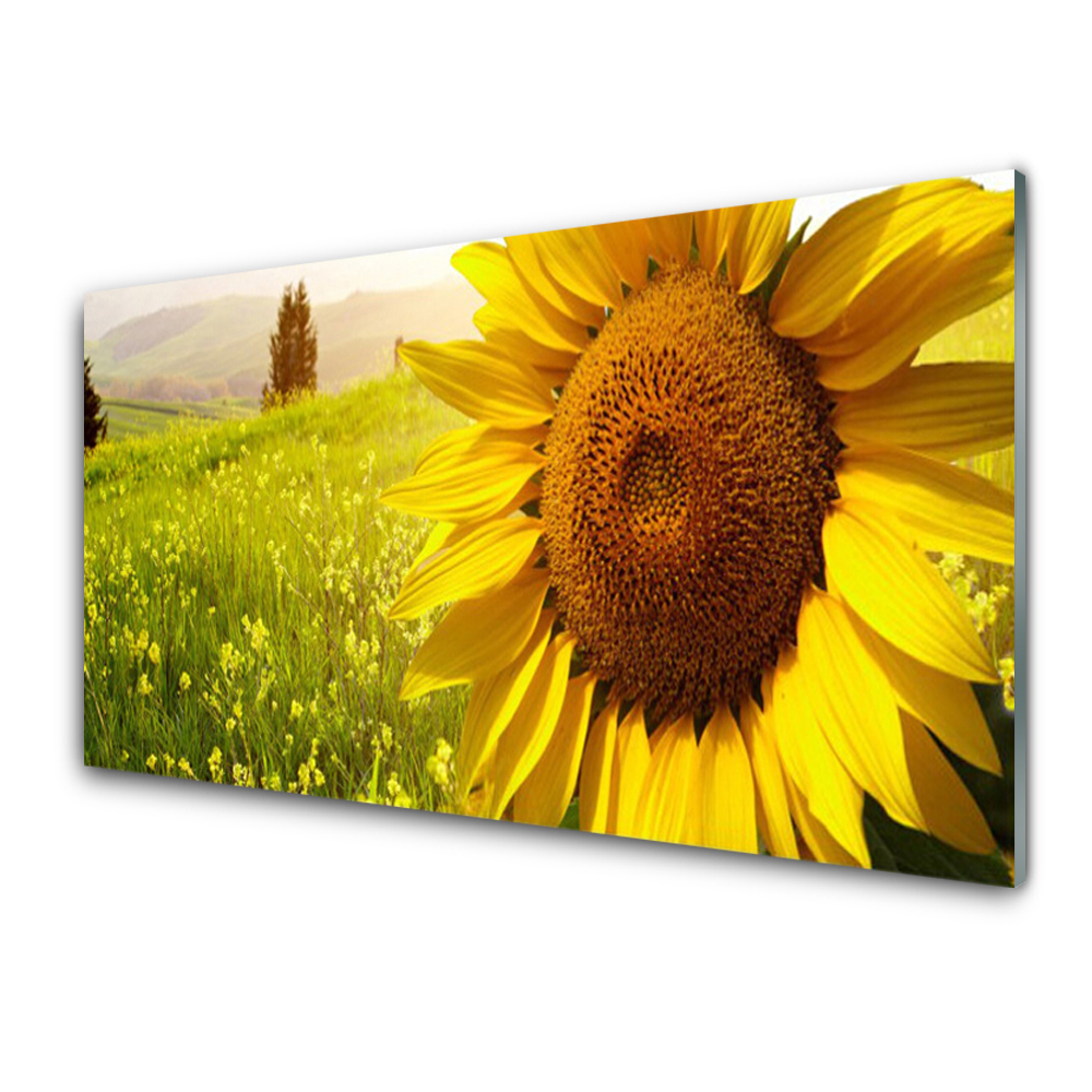 Küchenrückwand Fliesenspiegel Sonnenblume Pflanzen