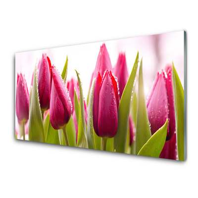 Küchenrückwand Fliesenspiegel Tulpen Pflanzen