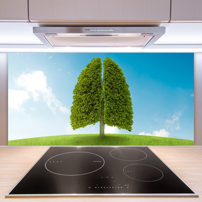 Küchenrückwand Fliesenspiegel Gras Baum Natur