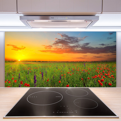 Küchenrückwand Fliesenspiegel Sonne Wiese Blumen Natur