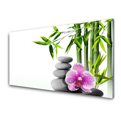 Küchenrückwand Fliesenspiegel Bambusrohr Blume Steine Pflanzen