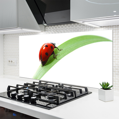 Küchenrückwand Fliesenspiegel Marienkäfer Blatt Natur