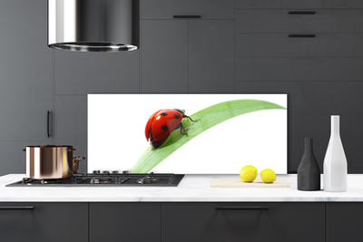 Küchenrückwand Fliesenspiegel Marienkäfer Blatt Natur