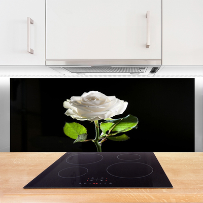 Küchenrückwand Fliesenspiegel Rose Pflanzen