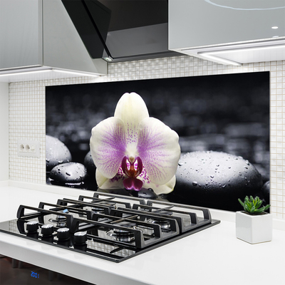Küchenrückwand Fliesenspiegel Blume Steine Pflanzen