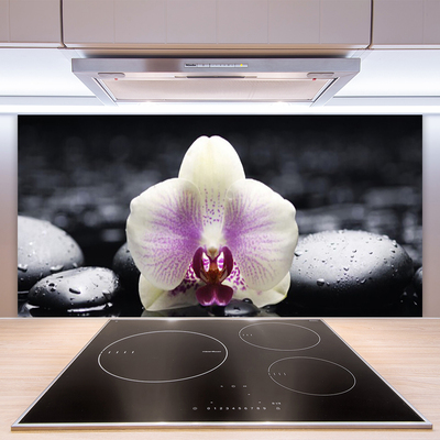 Küchenrückwand Fliesenspiegel Blume Steine Pflanzen