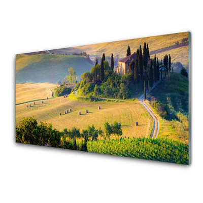 Küchenrückwand Fliesenspiegel Acker Bäume Landschaft